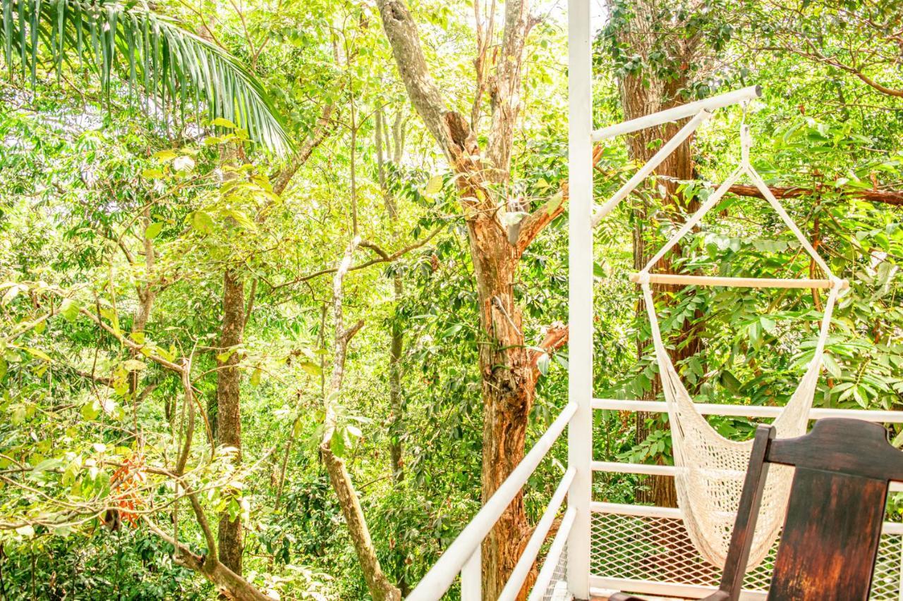 Casa Valentina - Ocean, Nature, Relax, Central Quepos Exterior photo